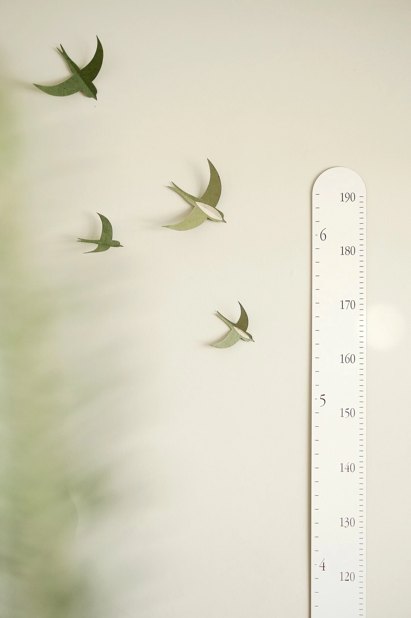 Abricotine Échelle De Croissance Blanche 6 Abricotine Échelle De Croissance Blanche – Image 4