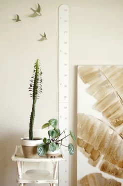 Abricotine Échelle De Croissance Blanche