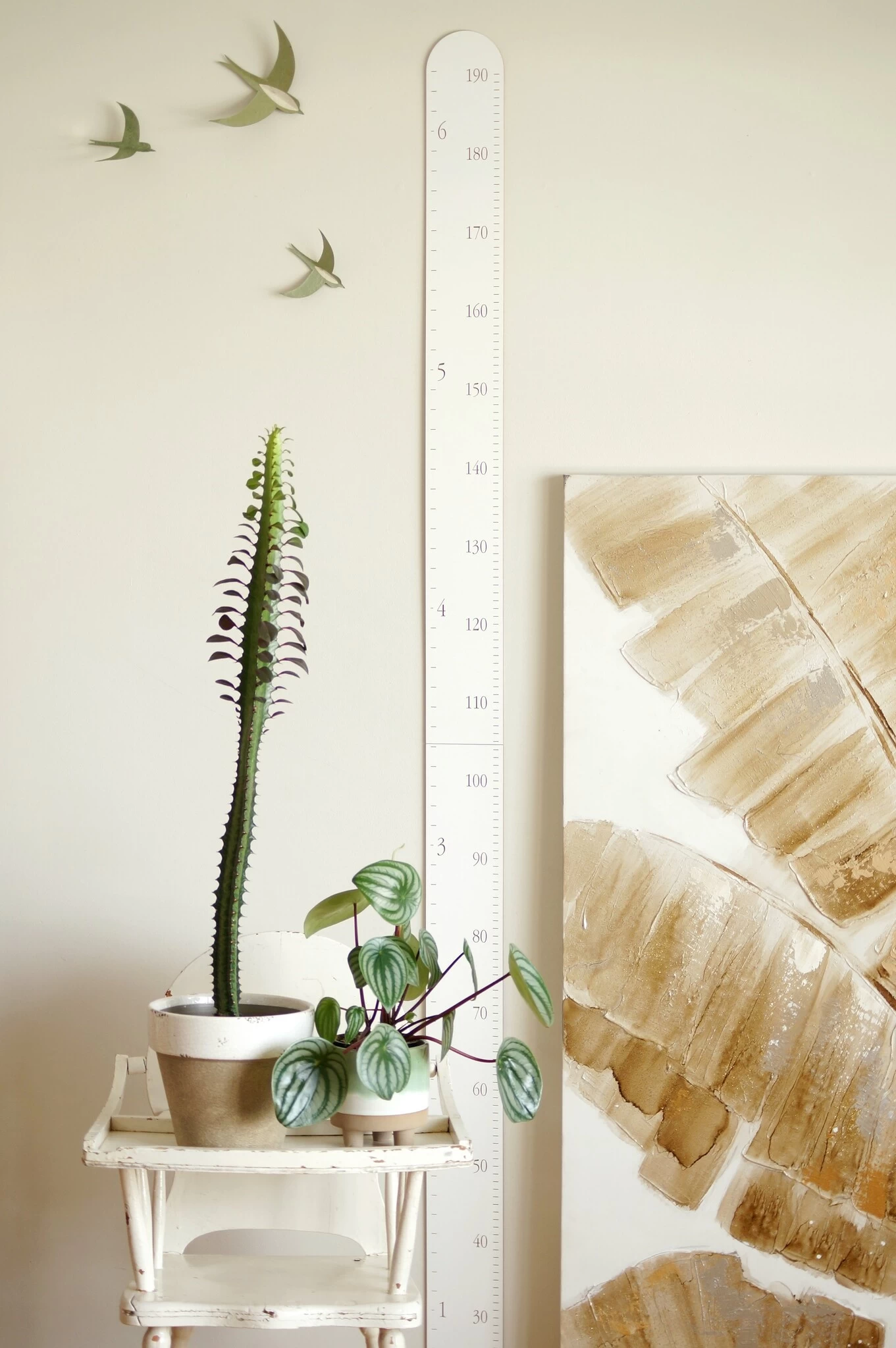 Abricotine Échelle De Croissance Blanche 3 Abricotine Échelle De Croissance Blanche