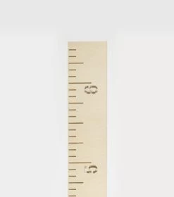 Abricotine Échelle De Croissance En Bois