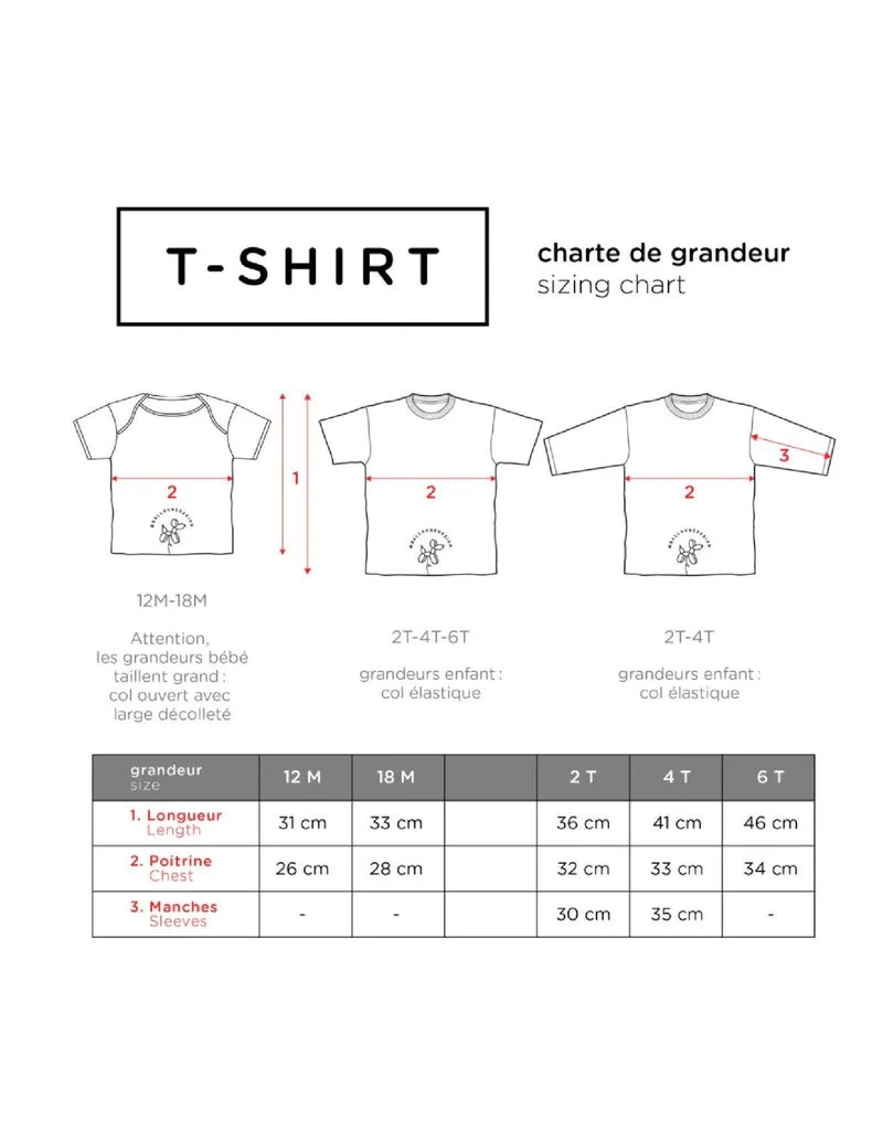 Balloune Design T-Shirt Sauge Grand Frère 4 Balloune Design T-Shirt Sauge Grand Frère – Image 2