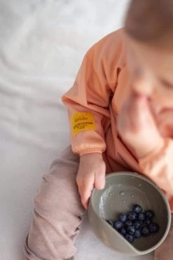 Kantalou Bavette Abricot