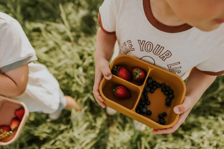 Minika Boîte Bento Shell 4 Minika Boîte Bento Shell – Image 2