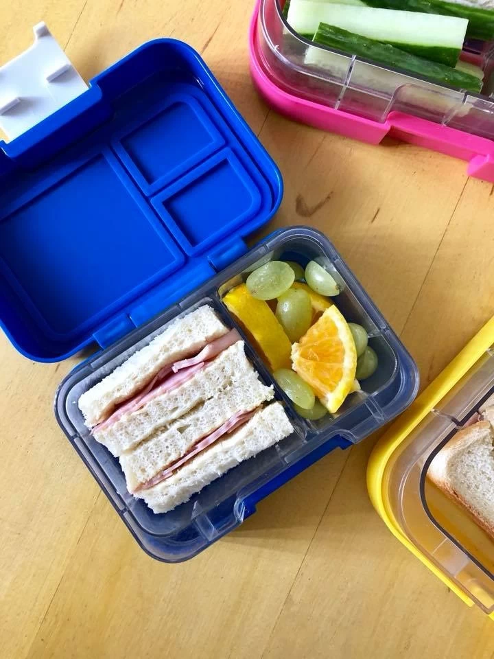 MunchBox Munchi Snack Seaside Blue 6 MunchBox Munchi Snack Seaside Blue – Image 4