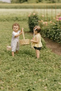 Petit Lem Romper Short Abeilles