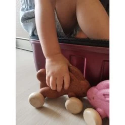 Plan Toys Lapin Roulant Brun